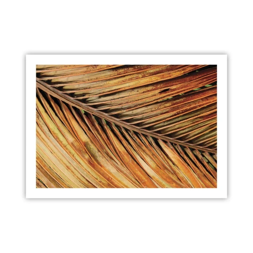 Póster - Oro de coco - 70x50 cm