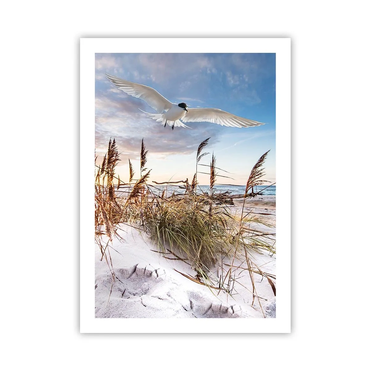 Póster - Un pájaro en vuelo sobre las dunas y el mar al atardecer. - 50x70cm - Viento del mar - Decoración de pared moderna para salón y dormitorio ARTTOR