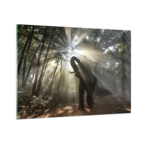 Cuadro sobre vidrio - Impresiones sobre Vidrio - Un elefante en un bosque iluminado por la luz del sol. - 100x70cm - Bajo una estrella de la suerte - Decoración de pared moderna para salón y dormitorio ARTTOR