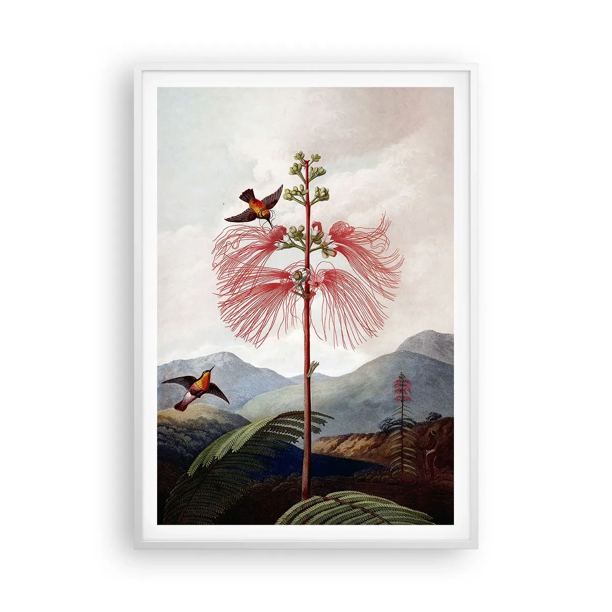 Póster en marco blanco - En un paraíso tropical - 70x100 cm