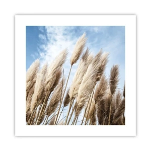 Póster - Una caricia soleada y ventosa - 40x40 cm