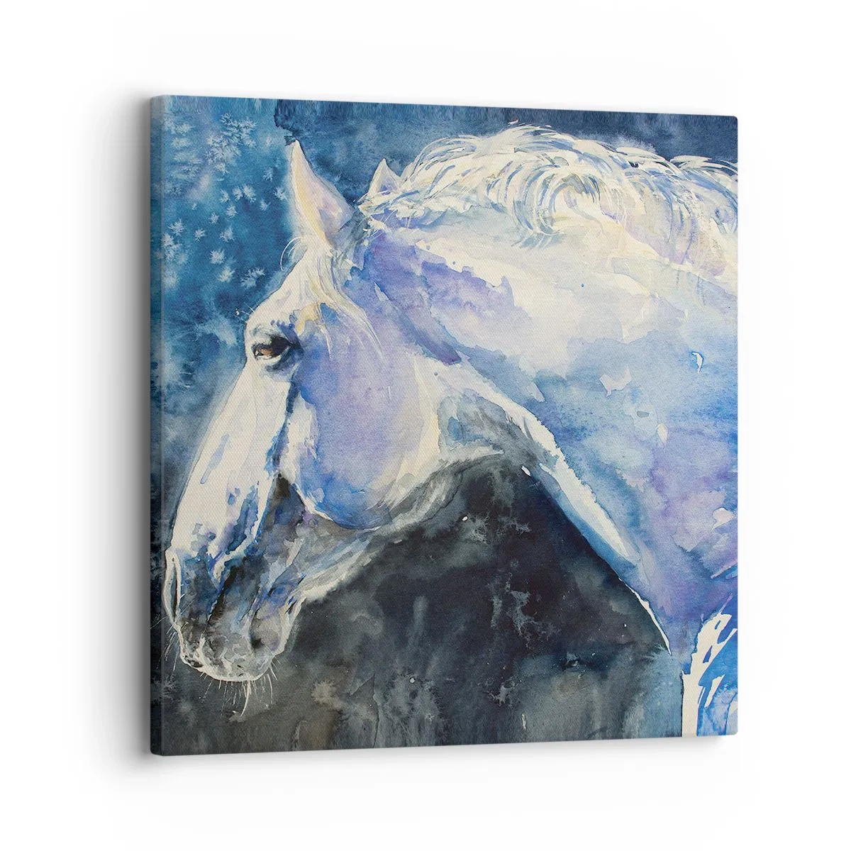 Cuadro sobre lienzo - Impresión de Imagen - Retrato en un resplandor azul - 30x30 cm