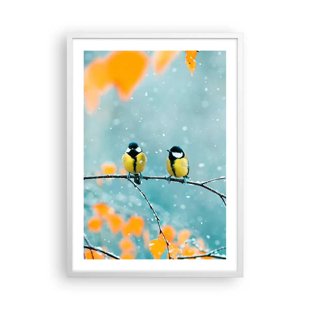 Póster en marco blanco - Cotilleo de pájaros - 50x70 cm