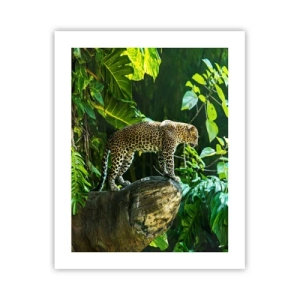 Póster - ¿A la caza? - 40x50 cm