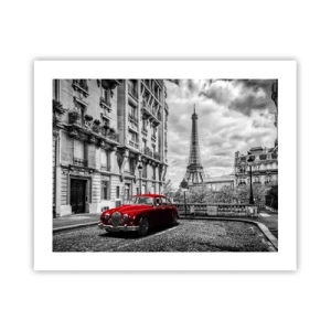 Póster - Un depredador en la ciudad - 50x40 cm