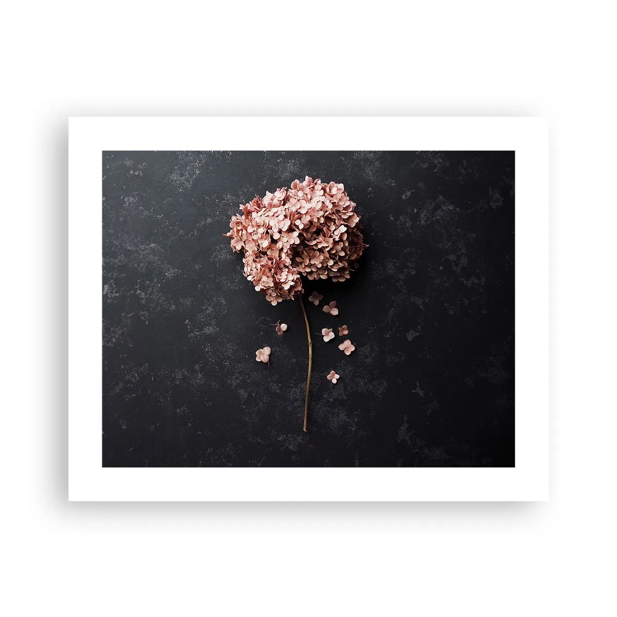 Póster - Un signo verdaderamente romántico - 50x40 cm