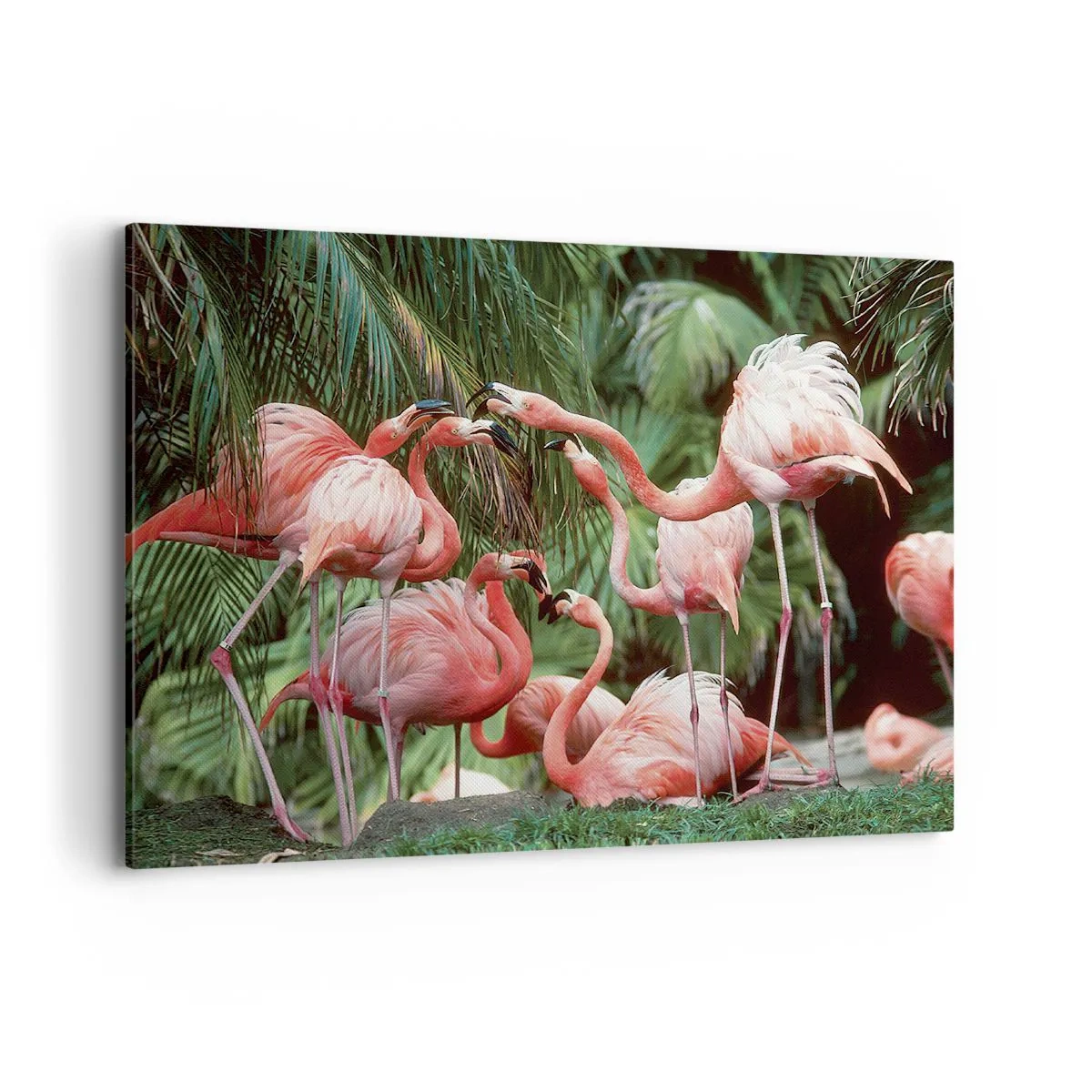Cuadro sobre lienzo - Impresión de Imagen - Un grupo de flamencos en un entorno tropical rodeado de palmeras. - 100x70cm - Cotilleos de la tarde - Decoración de pared moderna para salón y dormitorio ARTTOR