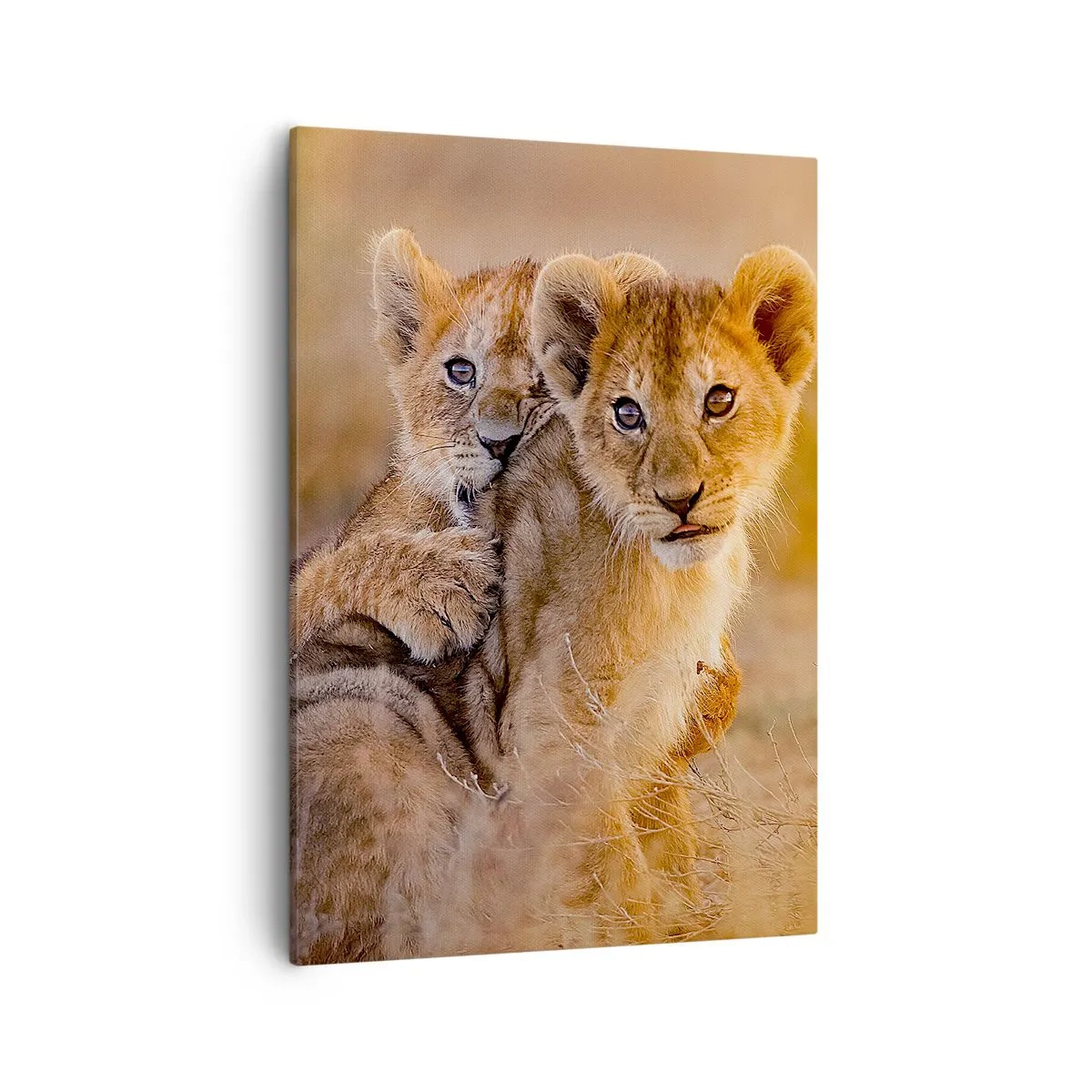 Cuadro sobre lienzo - Impresión de Imagen - Adorables cachorros de león en su entorno natural. - 50x70cm - ¡No molestar! Nos estamos divirtiendo - Decoración de pared moderna para salón y dormitorio ARTTOR