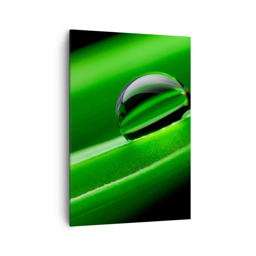 Cuadro sobre lienzo - Impresión de Imagen - Primer plano de una gota de rocío sobre una hoja verde - 70x100cm - La vida de cerca - Decoración de pared moderna para salón y dormitorio ARTTOR