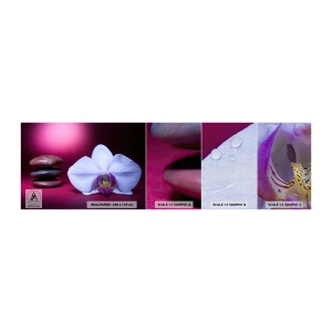 Muestra de fotomural Premium Canvas - Estudio de frescura en violeta - flores, Spa, piedras - 100x30 cm
