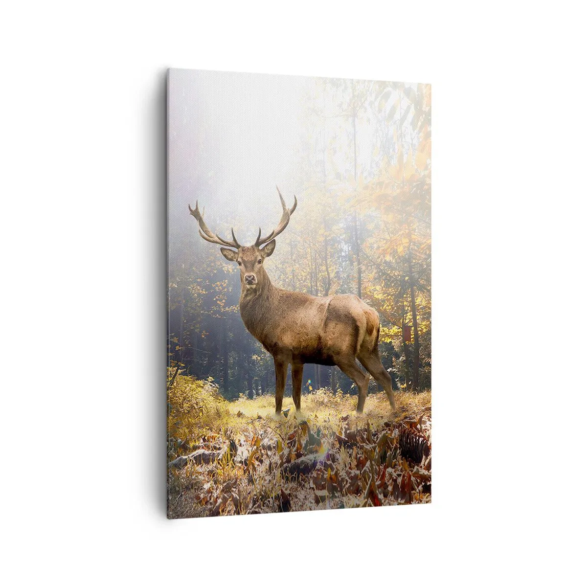 Cuadro sobre lienzo - Impresión de Imagen - Ciervos en el bosque otoñal con rayos de sol. - 80x120cm - Con toda la majestuosidad - Decoración de pared moderna para salón y dormitorio ARTTOR