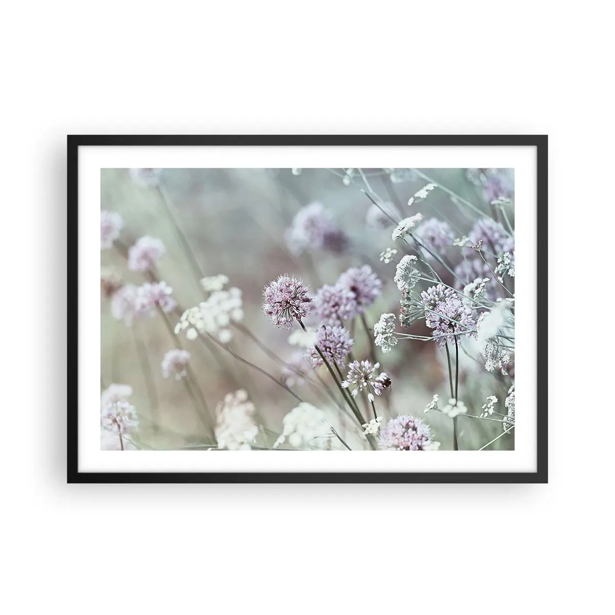 Póster en marco negro - Delicadas flores en tonos pastel. - 70x50cm - Dulces filigranas de hierbas - Decoración de pared moderna para salón y dormitorio ARTTOR