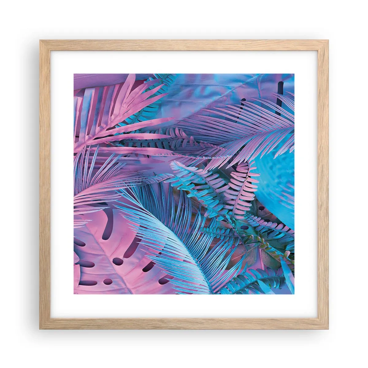 Póster en marco roble claro - Trópicos en rosa y azul - 40x40 cm
