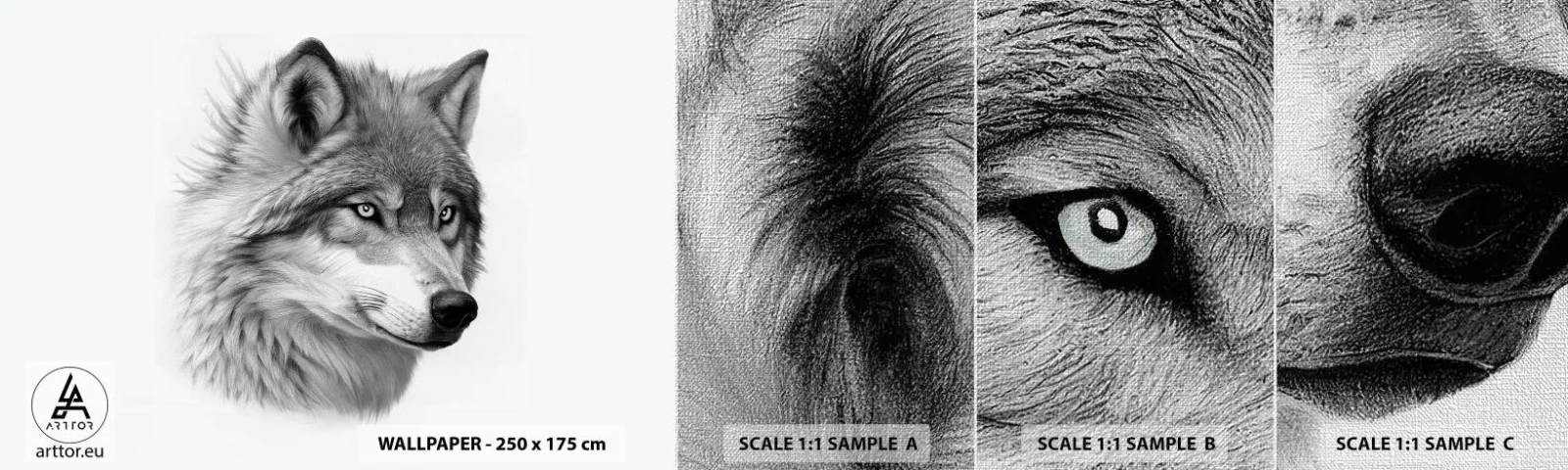 Muestra de fotomural Premium Canvas - Alfa - sin duda - Lobo, Animal, escandinavo - 100x30 cm