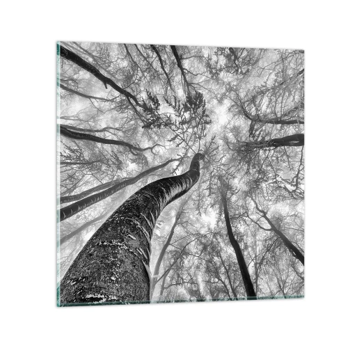 Cuadro sobre vidrio - Impresiones sobre Vidrio - Carrera hacia la luz - 40x40 cm