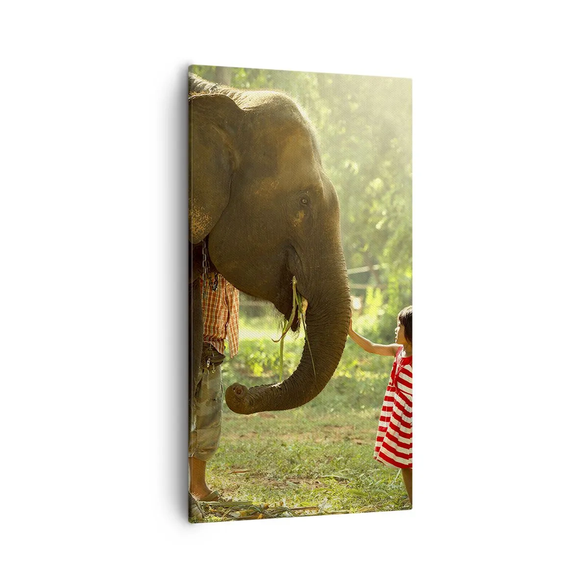 Cuadro sobre lienzo - Impresión de Imagen - El poder de la amistad - 55x100 cm