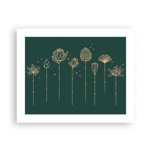 Póster - La familia vegetal - 50x40 cm
