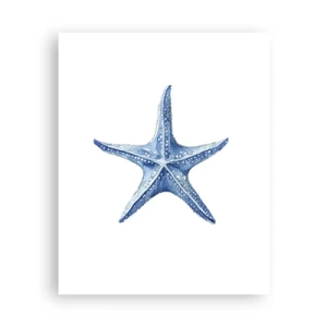 Póster - Estrella de mar - 40x50 cm