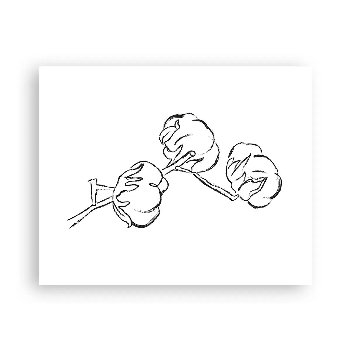 Póster - Plumón de algodón - 50x40 cm