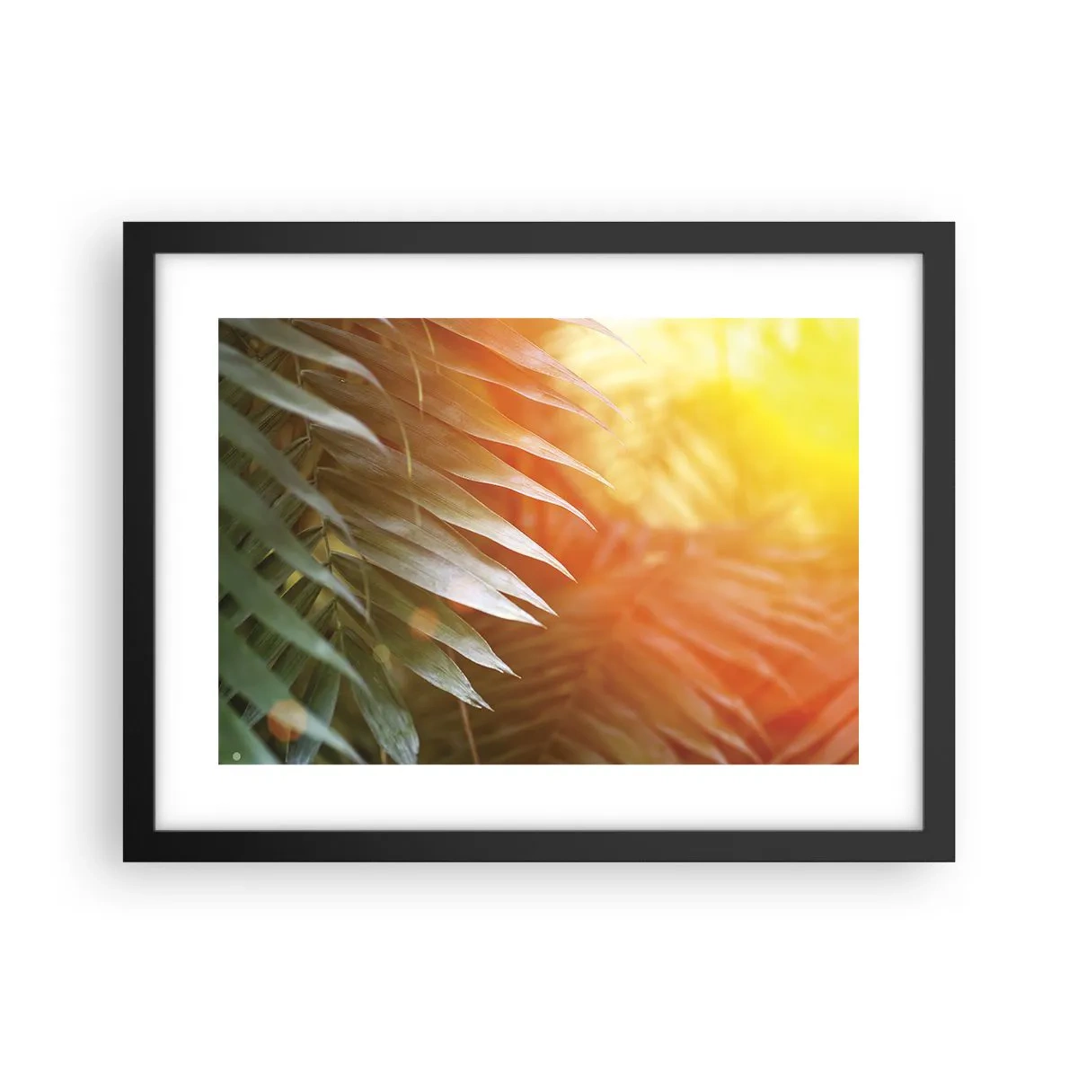 Póster en marco negro - Mañana en la selva - 40x30 cm