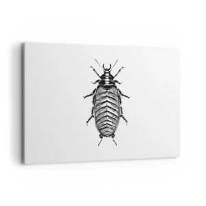 Cuadro sobre lienzo - Impresión de Imagen - Gráfico de un insecto en blanco y negro sobre un fondo blanco. - 120x80cm - ¡Qué espécimen! - Decoración de pared moderna para salón y dormitorio ARTTOR