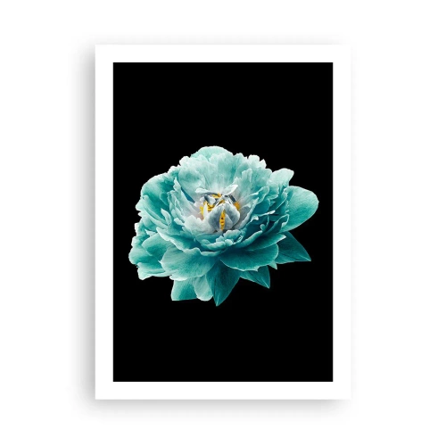 Póster - Flor turquesa con una abeja sobre fondo negro. - 50x70cm - Pétalos azules y dorados - Decoración de pared moderna para salón y dormitorio ARTTOR