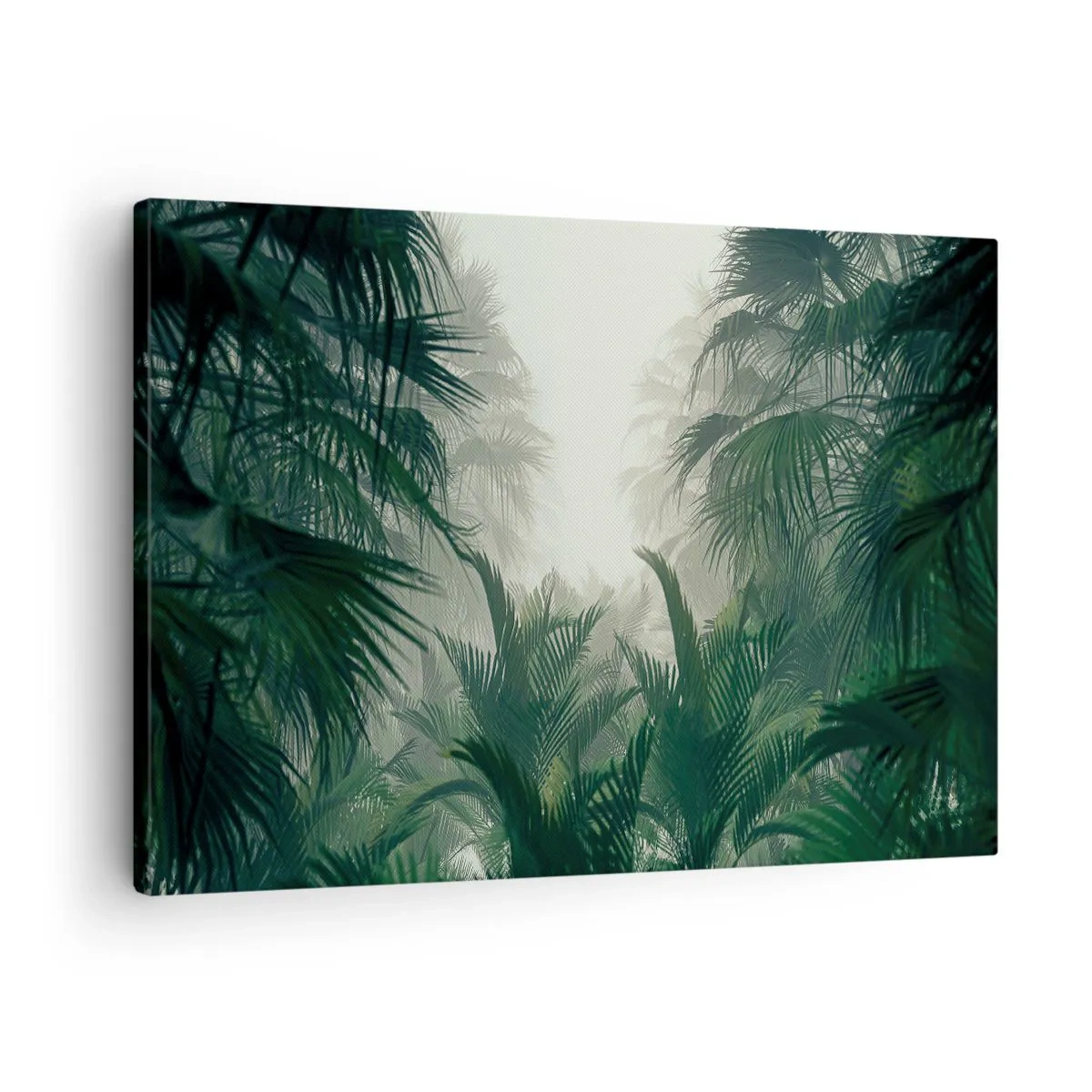 Cuadro sobre lienzo - Impresión de Imagen - Vegetación tropical en la densa niebla de la selva tropical - 70x50cm - Misterio tropical - Decoración de pared moderna para salón y dormitorio ARTTOR