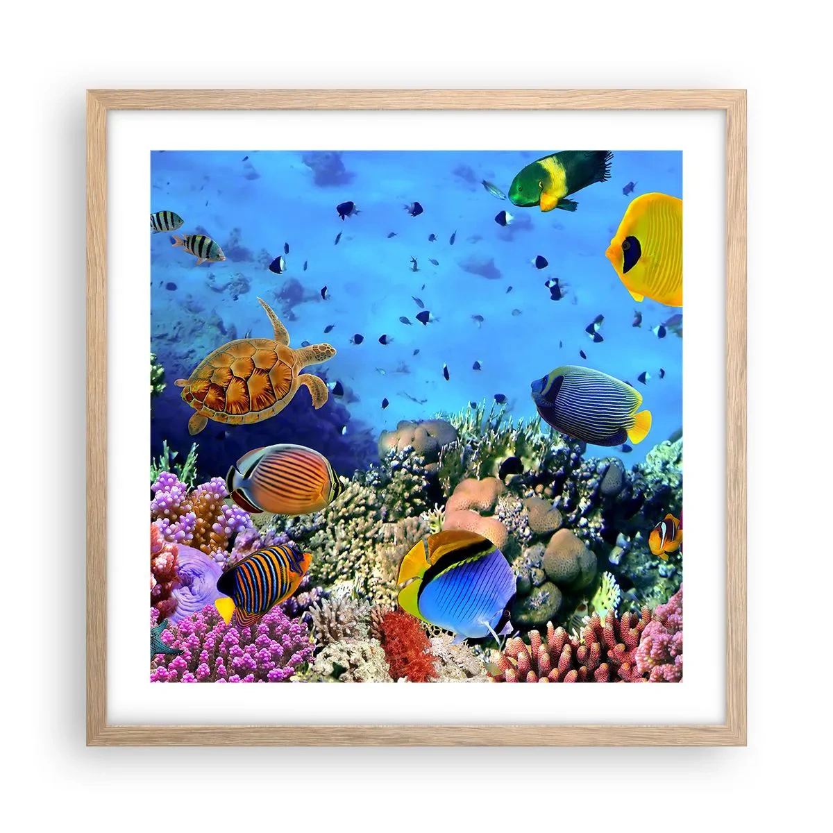 Póster en marco roble claro - Y qué sabemos de la vida... - 50x50 cm