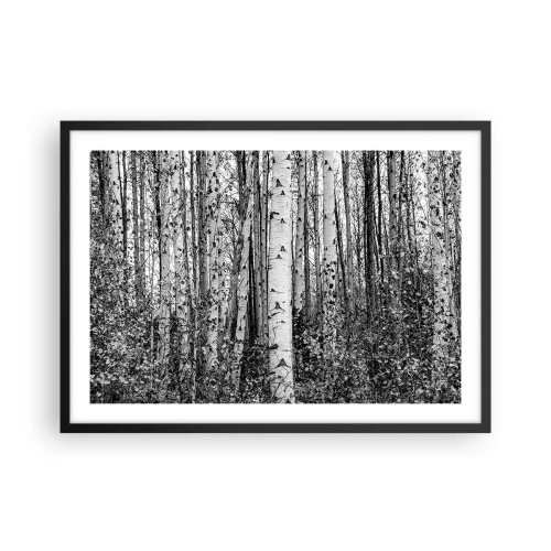 Póster en marco negro - Abedules blancos y negros en el bosque - 70x50cm - Columnas de abedules - Decoración de pared moderna para salón y dormitorio ARTTOR