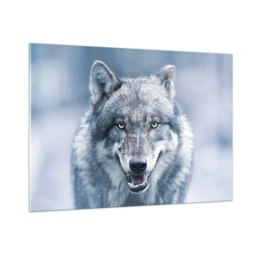 Cuadro sobre vidrio - Impresiones sobre Vidrio - Un lobo con una mirada penetrante sobre el fondo de un bosque nevado. - 100x70cm - ¿Aceptarás el reto? - Decoración de pared moderna para salón y dormitorio ARTTOR