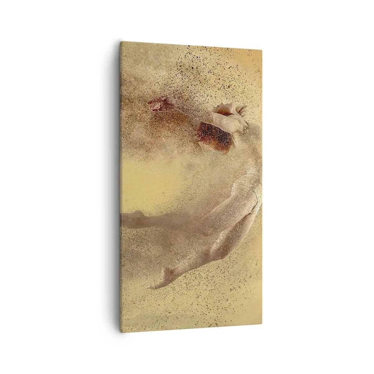 Cuadro sobre lienzo - Impresión de Imagen - En una exaltación danzante - 55x100 cm