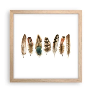 Póster en marco roble claro - Estudio de plumas - 30x30 cm