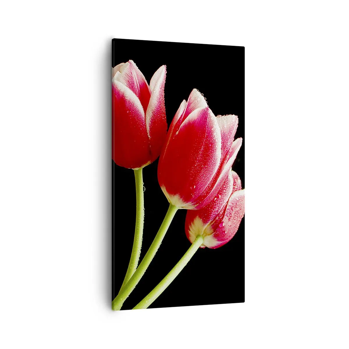 Cuadro sobre lienzo - Impresión de Imagen - Promesa de amor puro - 55x100 cm