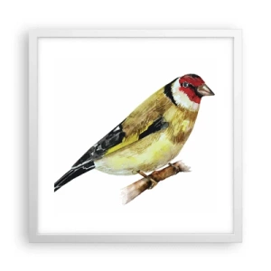 Póster en marco blanco - Retrato de pájaro - 40x40 cm