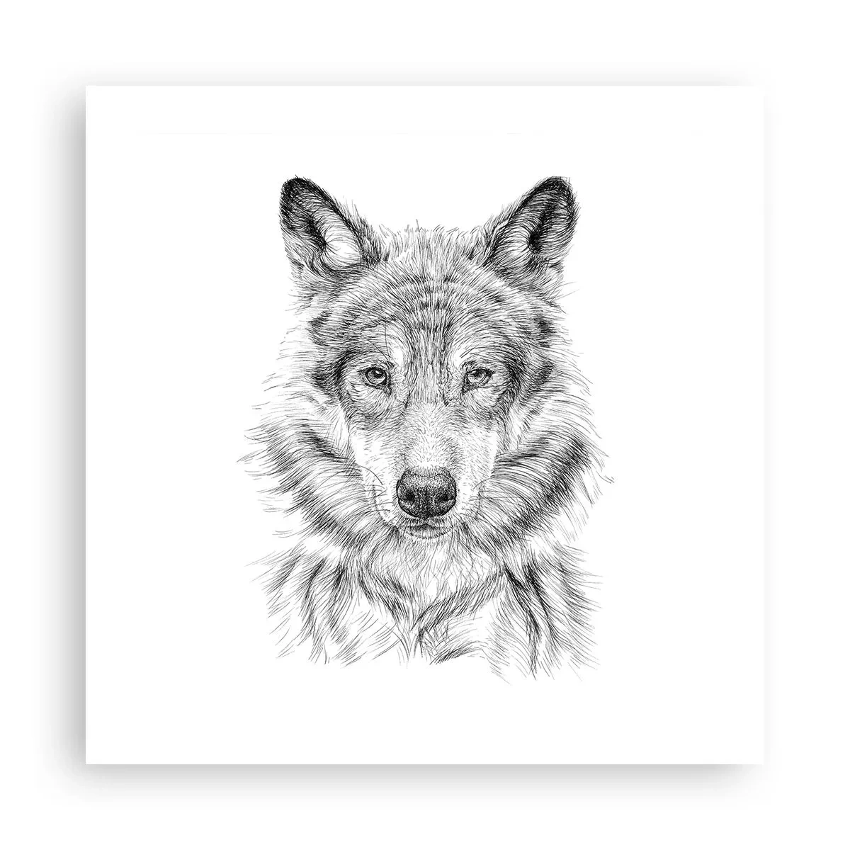 Póster - Un líder nato - 50x50 cm