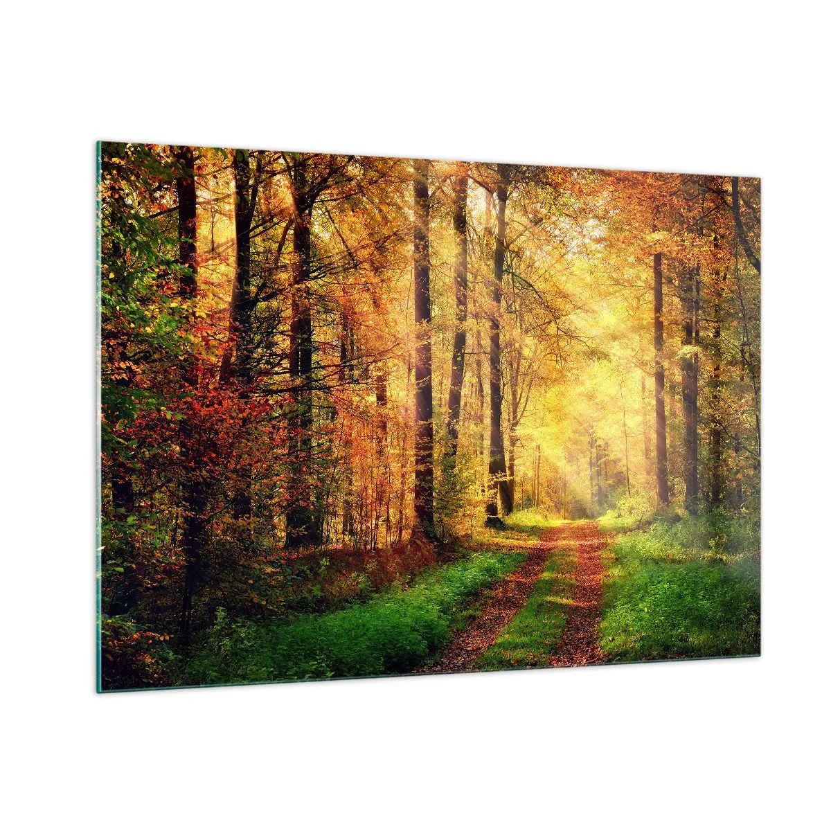 Cuadro sobre vidrio - Impresiones sobre Vidrio - Camino otoñal en el bosque con rayos de sol. - 100x70cm - Silencio dorado del bosque - Decoración de pared moderna para salón y dormitorio ARTTOR