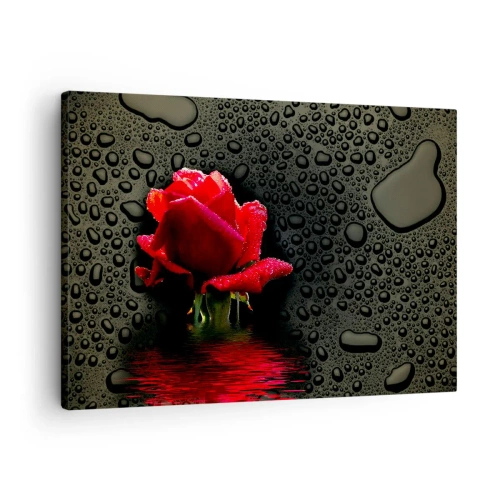 Cuadro sobre lienzo - Impresión de Imagen - Rosa roja con gotas de agua sobre un fondo oscuro - 70x50cm - Rojo y negro - Decoración de pared moderna para salón y dormitorio ARTTOR