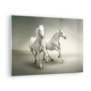Cuadro sobre vidrio - Impresiones sobre Vidrio - Dos caballos blancos corriendo sobre un fondo claro. - 70x50cm - ¡Poder blanco! - Decoración de pared moderna para salón y dormitorio ARTTOR