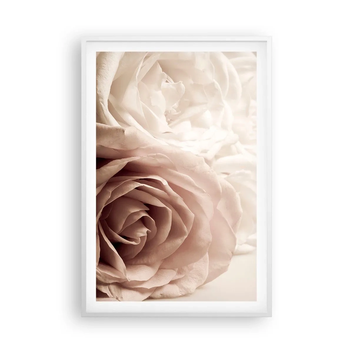 Póster en marco blanco - En el corazón de una rosa - 61x91 cm