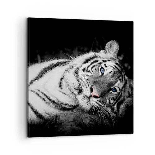 Cuadro sobre lienzo - Impresión de Imagen - Salvaje y tranquilo - 60x60 cm