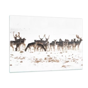 Cuadro sobre vidrio - Impresiones sobre Vidrio - Una fotografía de una manada de ciervos en un paisaje nevado. - 120x80cm - ¿Se acerca la Navidad? - Decoración de pared moderna para salón y dormitorio ARTTOR