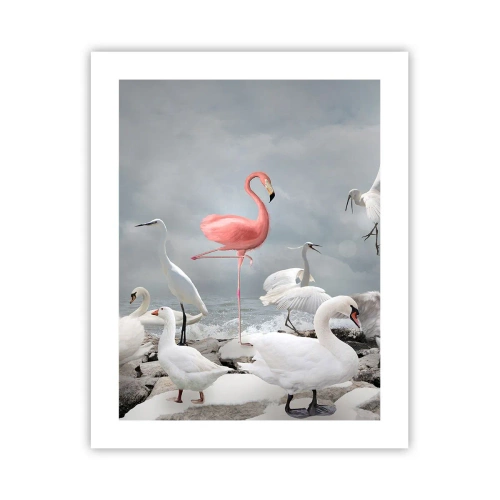 Póster - ¿De dónde vengo? - 40x50 cm