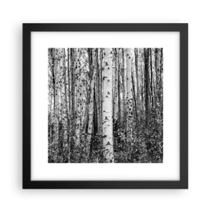Póster en marco negro - Columnas de abedules - 30x30 cm