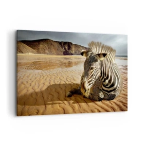 Cuadro sobre lienzo - Impresión de Imagen - Una cebra descansando en una playa de arena con acantilados al fondo. - 120x80cm - Encajamos juntos - Decoración de pared moderna para salón y dormitorio ARTTOR