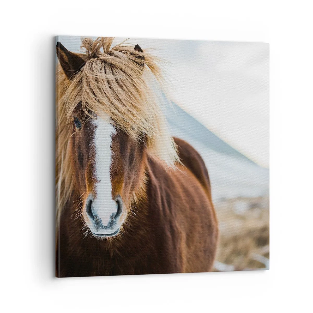 Cuadro sobre lienzo - Impresión de Imagen - ¿Puedes sentir la libertad? - 60x60 cm