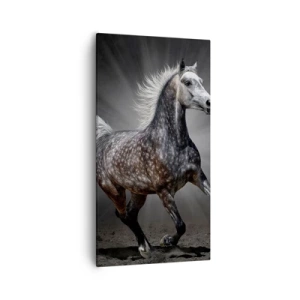 Cuadro sobre lienzo - Impresión de Imagen - El gris es hermoso - 55x100 cm