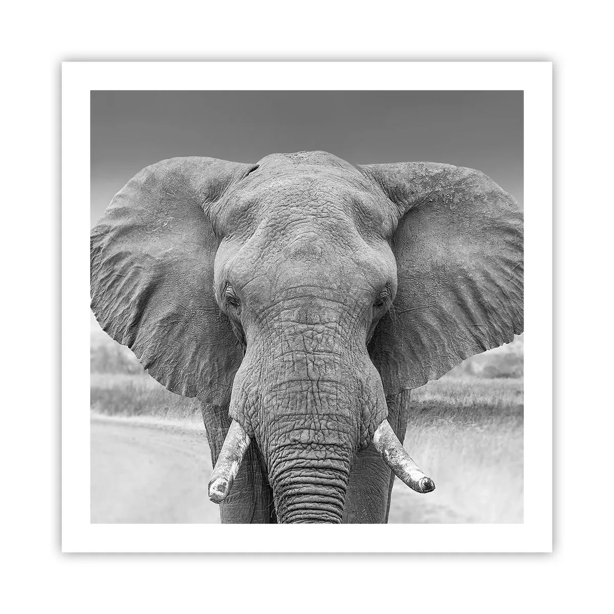 Póster - Bienvenido a mi mundo - 60x60 cm