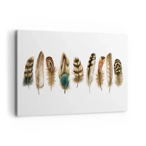 Cuadro sobre lienzo - Impresión de Imagen - Motivo decorativo de una colección de varias plumas. - 120x80cm - Estudio de plumas - Decoración de pared moderna para salón y dormitorio ARTTOR