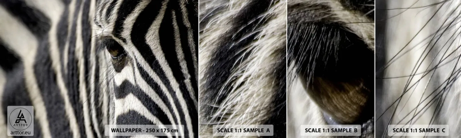 Muestra de fotomural autoadhesivo Deluxe Sticker - Retrato a rayas - animales, costillas, África - 100x30 cm