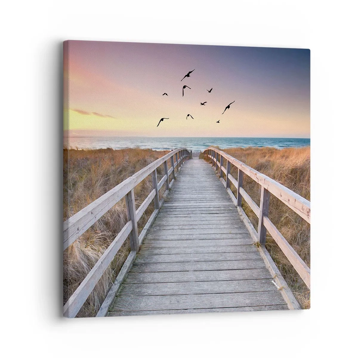 Cuadro sobre lienzo - Impresión de Imagen - Camino a lo desconocido - 30x30 cm